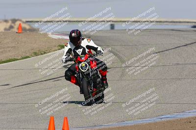 media/Feb-10-2023-TrackDaz (Fri) [[827c11d241]]/C Group/1245pm (Outside Grapevine)/